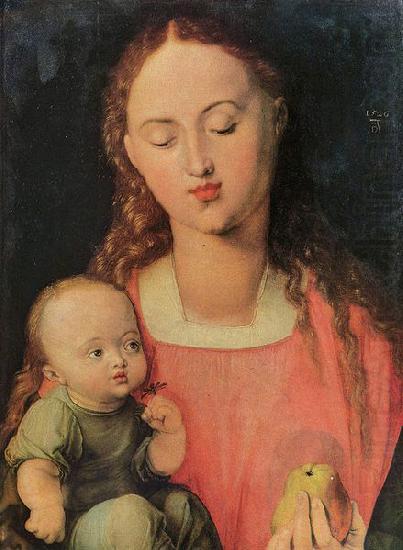 Albrecht Durer Maria mit Kind china oil painting image